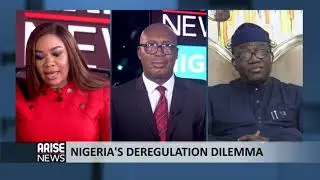 ARISE NEWS INTERVIEW WITH KAYODE FAYEMI, EKITI STATE GOVERNOR - NEWSDAY