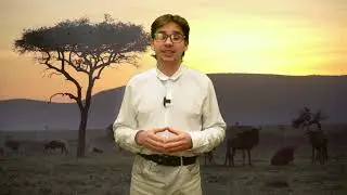 Lesson 06 - Travel to Kenya: Cities | Short Passive Participles (A2&ndash;B1)