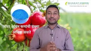 Kocide 3000_Pomegranate_Marathi