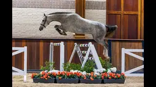 Ritchie (Etoulon x Dakar)