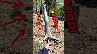 BEST EPIC STICK FINDS!!! #shorts #epic #awesome