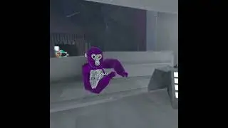 stvr GorillaTag