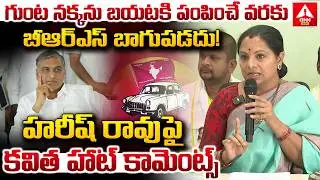 గుంట నక్కను బయటకి పంపించే వరకు బీఆర్ఎస్ బాగుపడదు..! | Kavitha Aggressive Words on Harish Rao