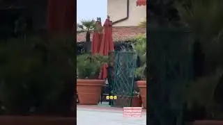 ROBERTA BRANCHINI 24 04 2019 INSTAGRAM STORIES VIDEO