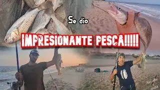 IMPRESIONANTE PESCA VARIADA 🤩🎣 Pez fuera de Temporada 🐟// Canelones Uruguay// Entre ca&ntilde;as y aparejos