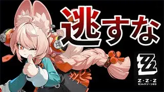 【ゼンゼロ】覚悟の超配布！　史上稀にみる