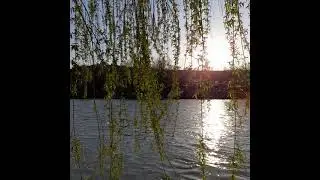 19 Nisan 2021 Dicle Nehri