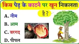 Most important Gk question ll GS question ll CA question ll Hindi GK question and answer 