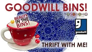 How did this end up here? 😍 GOODWILL BINS THRIFTING! 💙 JOIN US!