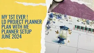 Laurel Denise Project planner /Spring vibes/ Casstheticplans / Planything / Planner setup /June 2024