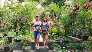 Tour pelo jardim da minha amiga/Pomar, Orquidário e uma Fonte no fundo do quintal
