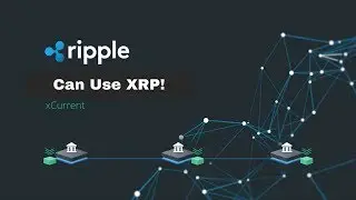 xCurrent Can Use XRP! XRP Ledger Payment Volume Spike, Payment Trial?
