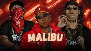 Viela Gang - Malibu