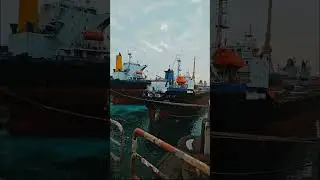 greenish dock, the worlds largest dock #dubai #watch  #uae #viral #shorts #ocean #1million #marine