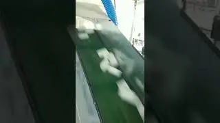 epe fruit foaming net machine, guava foaming net machine in india   info@epe-machine.com