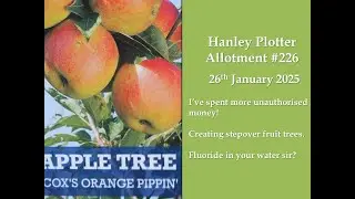 Stepover fruit trees 226