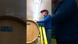 Peter Henricsson on spontaneous fermentation