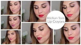 New Makeup from Bdellium Tools (Review + Lip Swatches) | Bailey B.