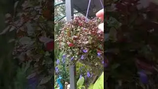 Наперекор...или вопреки времени.. НАСТОЯЩАЯ ЖЕНЩИНА! ❤️