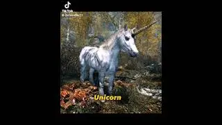 Choose your favorite skyrim mount #like #skyrim #subscribe #gaming This is my own TT YT
