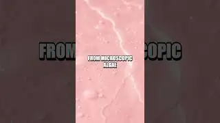 The Pink Mystery of Lake Hillier