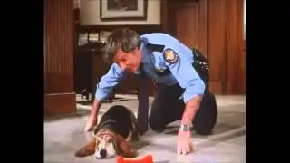 Dukes of Hazzard-Rosco and Flash