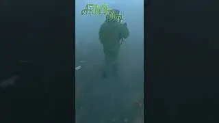 Боевой путь 155 бригады морской пехоты ВС РФ