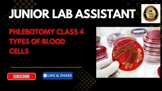 JUNIOR LAB ASSISTANT KERALA PSC | TYPES OF BLOOD CELLS