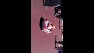 Dog shows off his driving skills