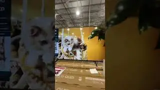 Costco Wholesale - inexpensive 65&rdquo; Hisense TV Sale. #costco #costcoshopping #costcotv #blackfriday