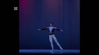 Swan lake variation