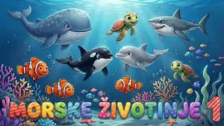 KO JE KRALJ OKEANA? 🌊 Morske Životinje za Decu (Deo 1)