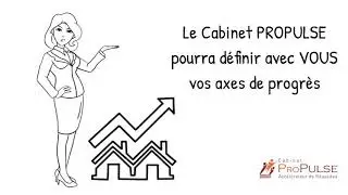 Audit & strat&eacute;gie RH du Cabinet PROPULSE