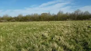 send away with directional retrieve