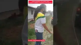 Ang naganap na ocular inspection sa GB Poultry farm sa brgy.Bantocaling