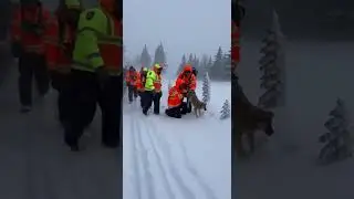 Caught on Camera: Incredible Rescue During Heavy Snowfall #Rescue #RealRescue #RescueTeam #Emergency