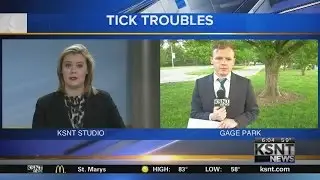 Ticks danger to local pets
