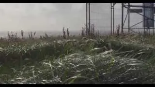 Absolut Originality Fashion Film