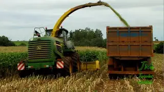 Produção de silagem - Ensiladeira John Deere 7400