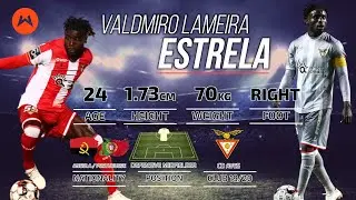 VALDOMIRO LAMEIRA 