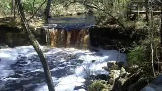 Falling Creek Falls - Lake City, FL
