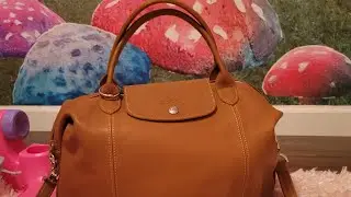 What's in my Longchamp bag?  #longchamp#wimb