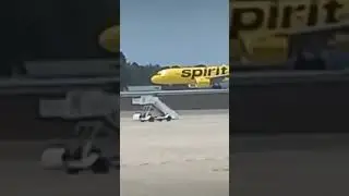 spit
