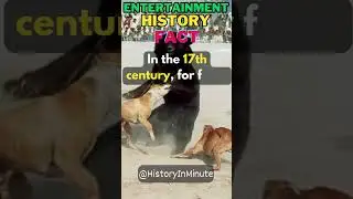 Spectacularly Strange Pastimes|bear-baiting|History Facts #history #worldhistory