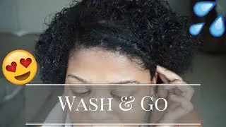 Simple Wash & Go Natural Hair Tutorial |Lovejiselle