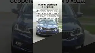 SKODA RAPID &mdash; 3 ОПАСНЫЕ БОЛЯЧКИ, КОТОРЫЕ ОСТАВЯТ ВАС БЕЗ ДЕНЕГ! ⚠️ (Владельцам срочно к просмотру)