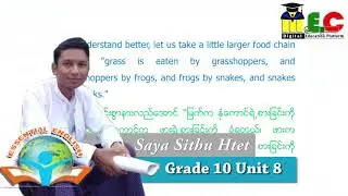 Grade 10 English Unit 8