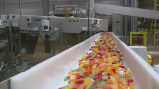 Candy Company Coming Back To Chicago