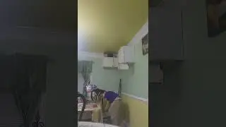 exit sign destruction
