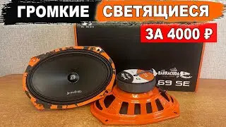 Громкие светящиеся овалы за 4000₽ в заднюю полку! DL Audio Barracuda 69 SE
